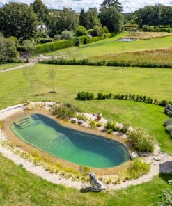 Thi công Ao / Hồ bơi tự nhiên (Natural Swimming Pool / Eco Pool)